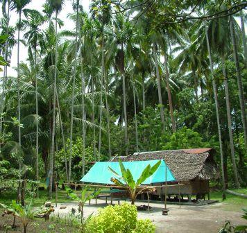 Our temporary village house